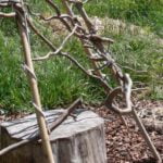 permacultuur-e1365156334361 Permacultuur E1365156334361