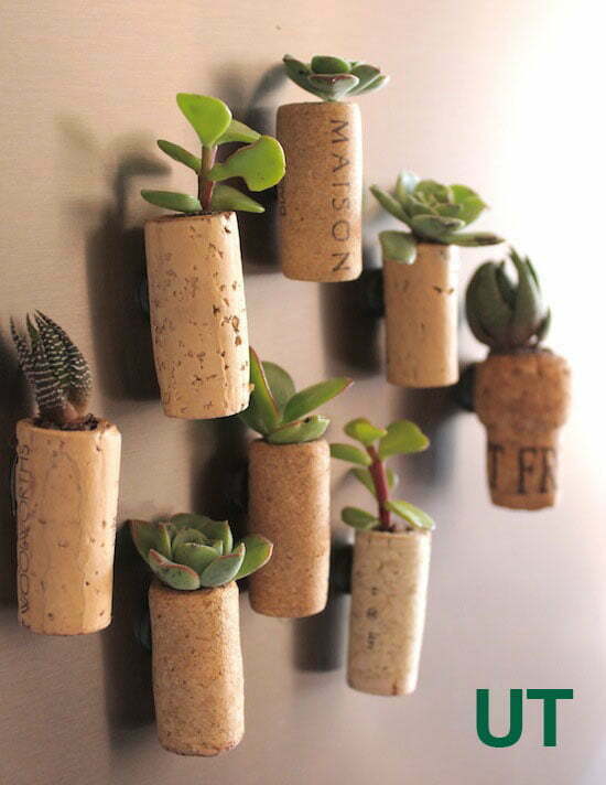 Koelkastmagneten met levende planten. Foto: upcyclethat.com