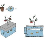 Plant + Vis = Aquaponics