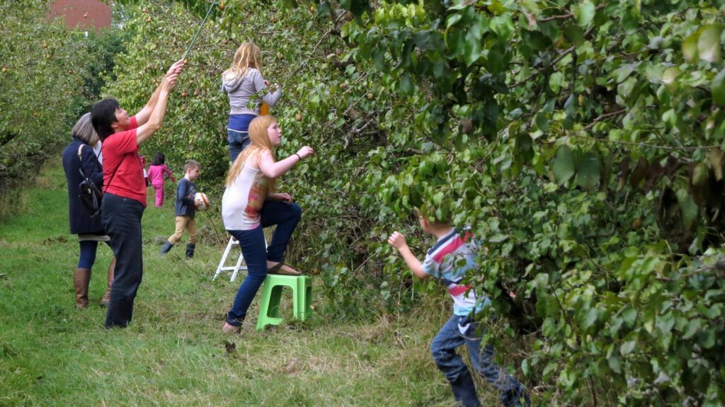 Inspirerende initiatieven: Hof van Seghwaert 4 Afbeelding: Wim Van Herpen
