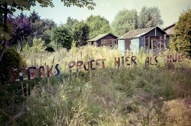 Een interview met stadsboerin Suzanne Monnier 4 Proeftuin Eramsusveld, Foto - Ivo Bakker