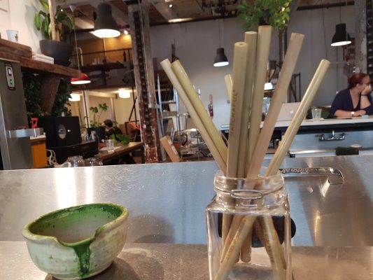 Zes alternatieven voor plastic rietjes 4 Rsz Bamboe Rietje E1531331414840