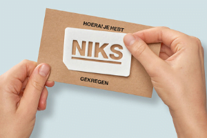 Eindelijk! Het perfecte cadeau voor Sinterklaas en kerst 2 Perfect Cadeau