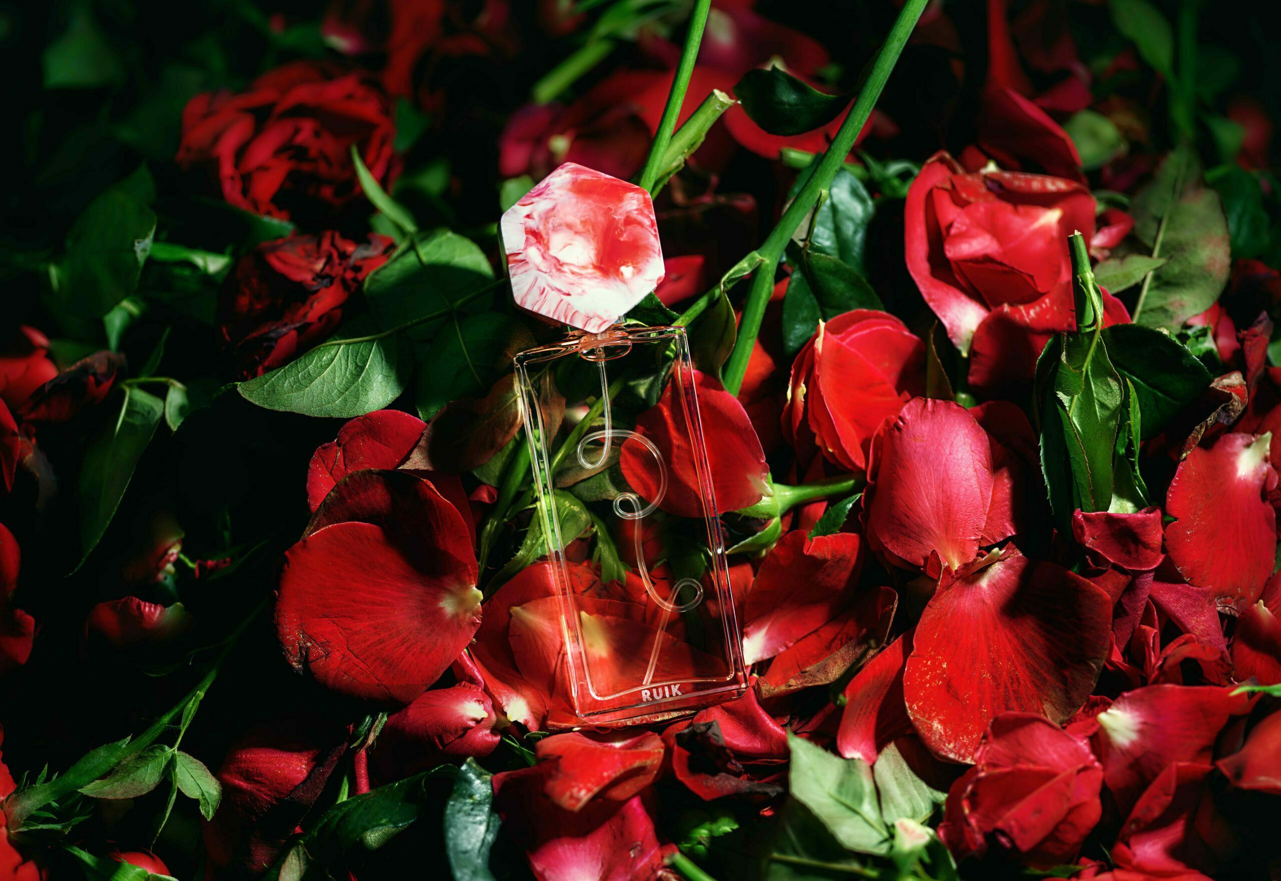 1544460605536_Foto_hetkanwel_KNOP