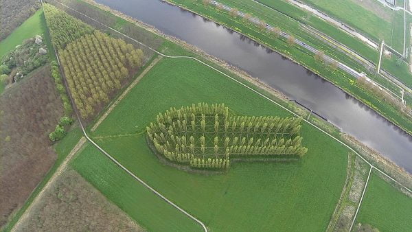 Deze man bouwde een kerk van levende bomen 4 Groene Kathedraal2 E1548858507425