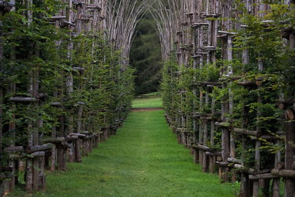 Deze man bouwde een kerk van levende bomen 3 Cathedrale Vegetale E1548858624400