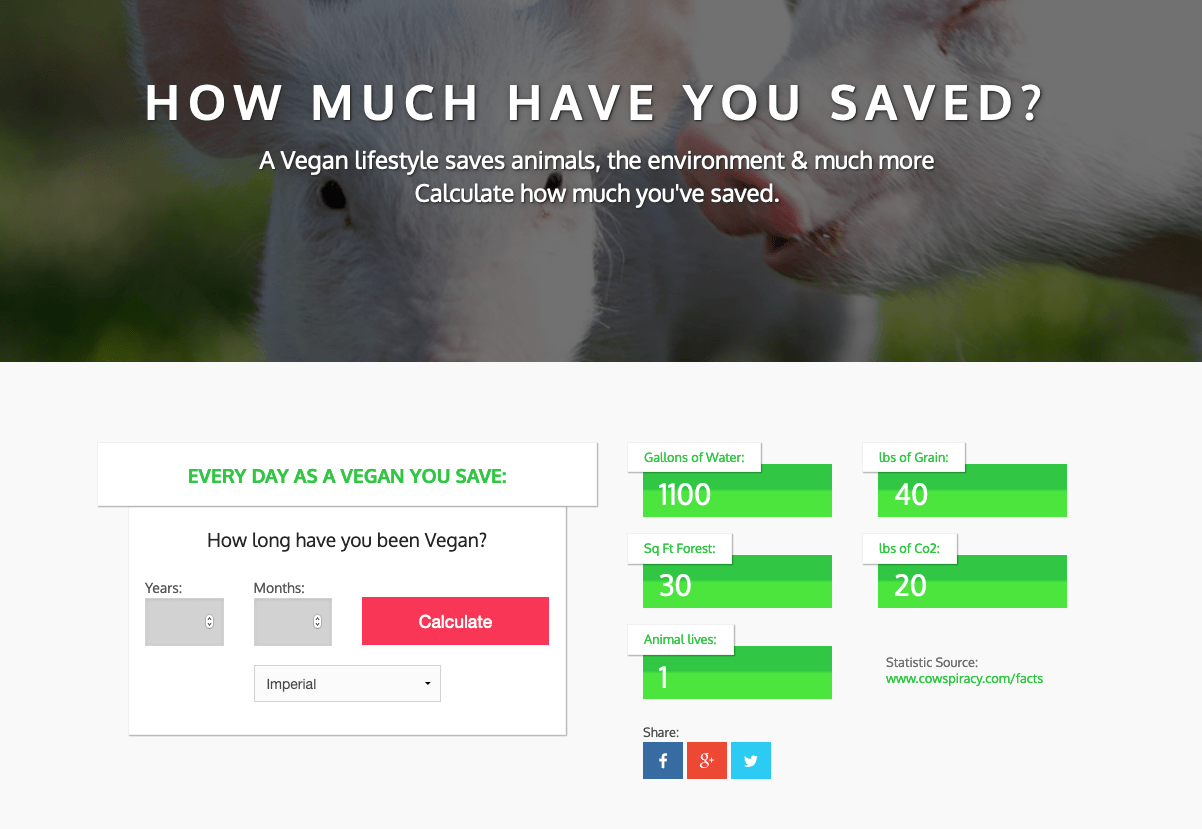 Hoe groen is jouw dieet? Doe de test en je ziet het meteen 2 Vegan Calculator
