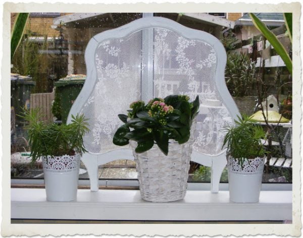 Hoe zorg je ervoor dat je planten de hitte overleven? 2 Hitte