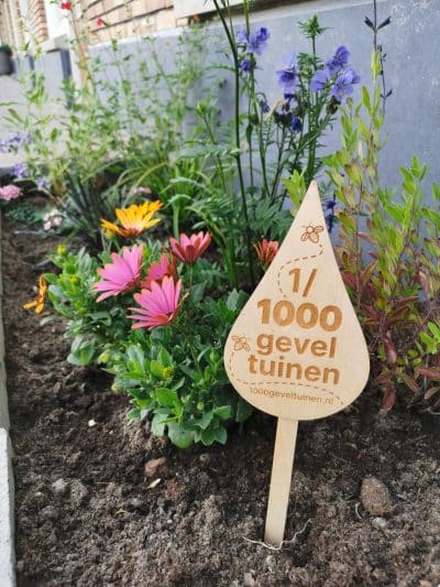 Raymond wil 1000 geveltuinen aanleggen in Rotterdam 3 1000 Geveltuinen