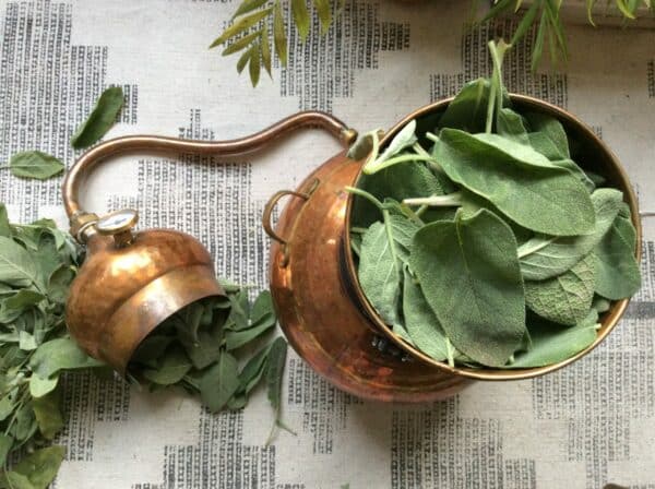 Carolien is de eerste botanische kapper van Nederland 2 Botanische Kapper