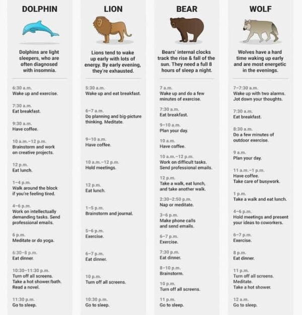 Wat voor slaaptype ben jij? 2 Slaaptypes