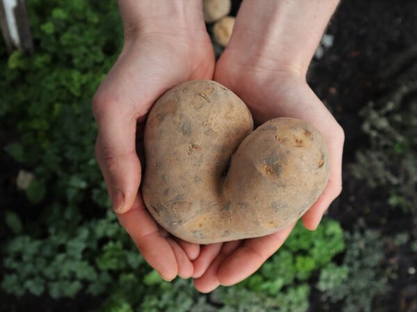 Bij Onze Markt bepaalt de klant welke producten in de schappen liggen 2 Onze Markt
