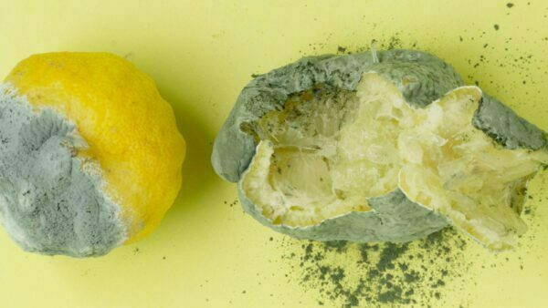 10 tips voor een duurzame lifestyle 5 Duurzame Lifestyle