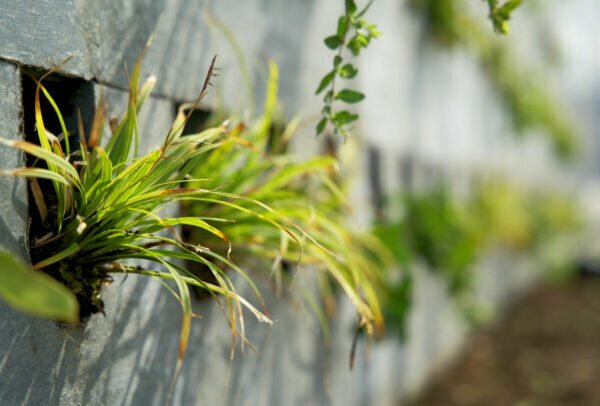 Van bikini's tot iglo's: deze producten zijn gemaakt van gerecycled plastic 2 Gerecycled Plastic