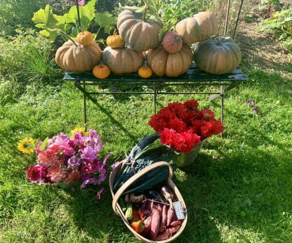 Duurzaam tuinieren met kinderen: hoe pak je dat aan? Anne Wieggers geeft tips 2 Duurzaam Tuinieren