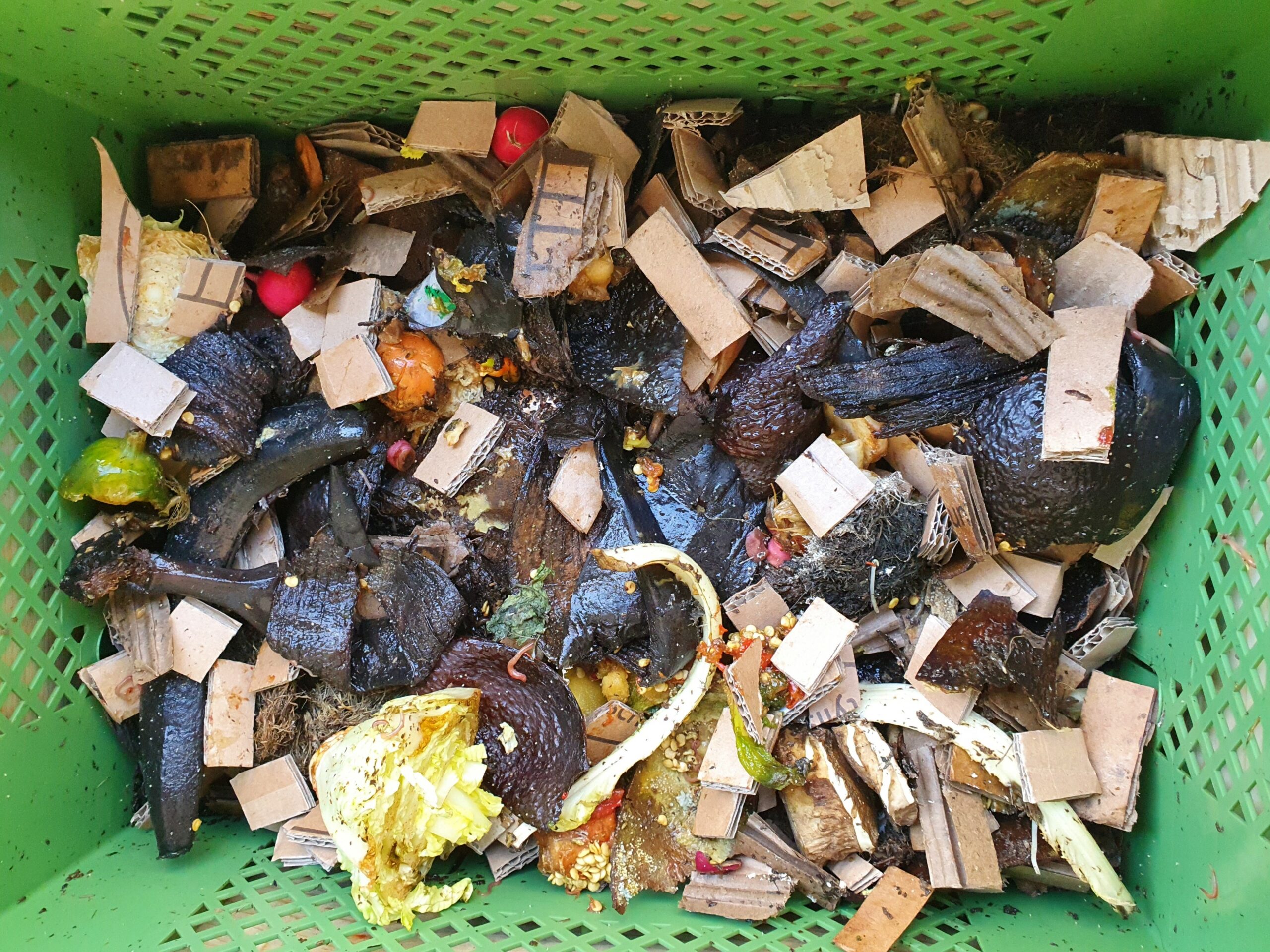 Zelf compost maken met het wormenkrukje: wij gingen de uitdaging aan 3 Compost Maken