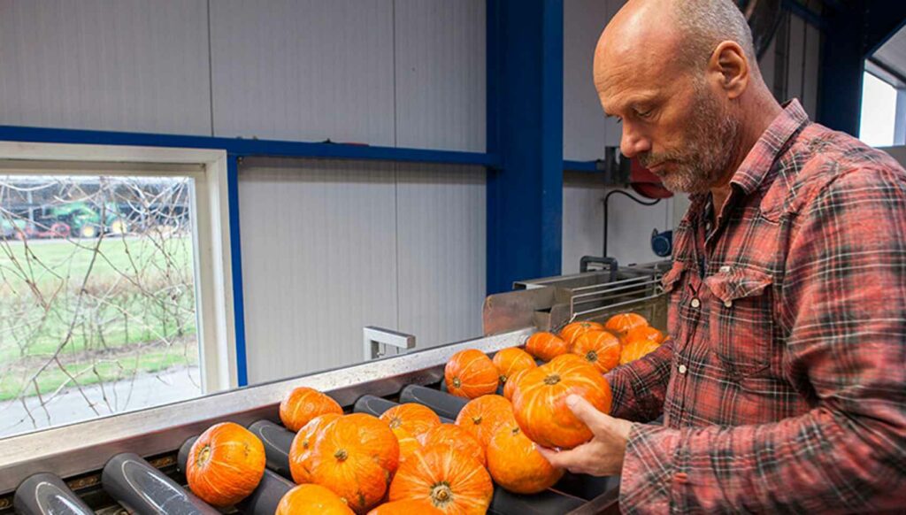 Start je eigen moestuin in 8 stappen 2 De Terp