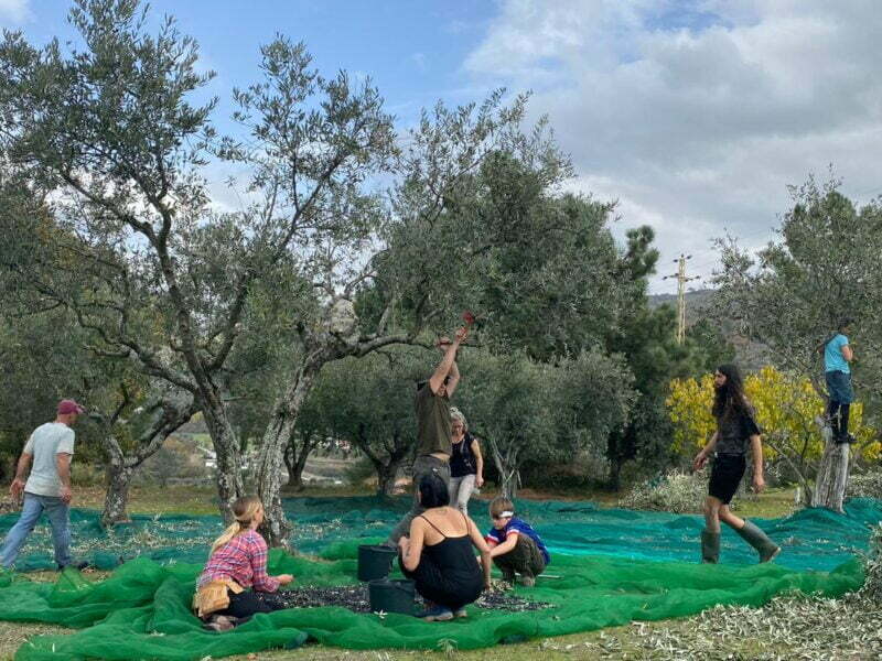 boerderij in Portugal