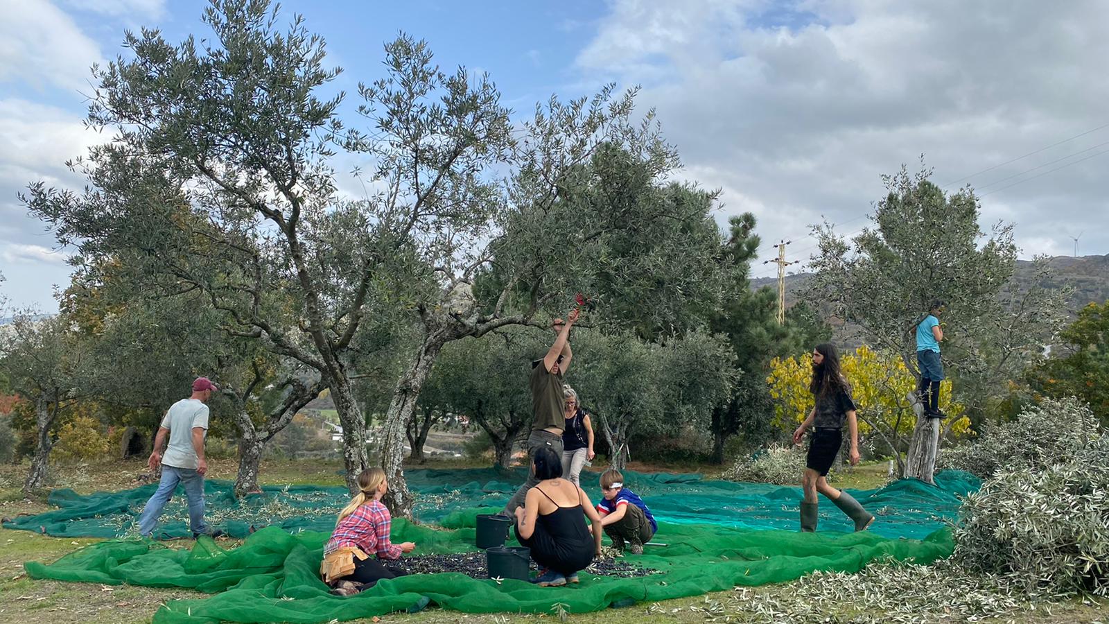 boerderij in Portugal