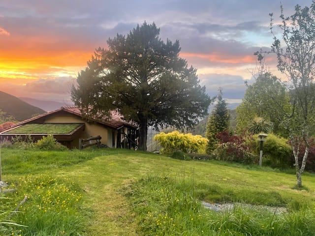 Bas en Simone zoeken enthousiaste klussers om hun berghutje in Noord-Spanje mee te delen 3 Bas En Simone Willen Hun Berghut In Asturië, Spanje, Met Anderen Delen