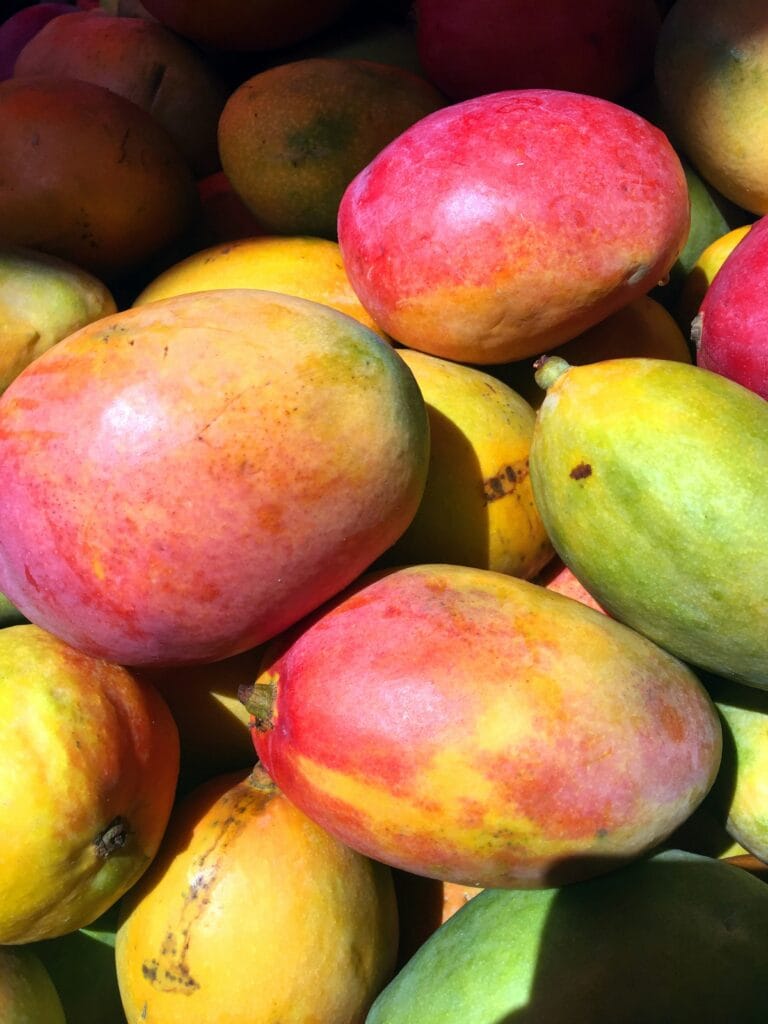 Wat is duurzamer? Verse avocado of mango of die uit de diepvries? 2 Verse Avocado Of Mango Of Diepvries: Wat Is Duurzamer?