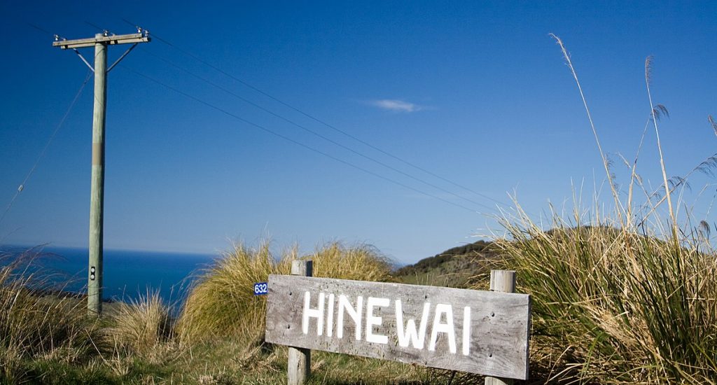 Hinewai natuurreservaat: herstel oerbossen Nieuw Zeeland, natuurherstel